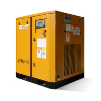 Винтовой компрессор BERG ВК-5.5РЕ 7 бар, IP54
